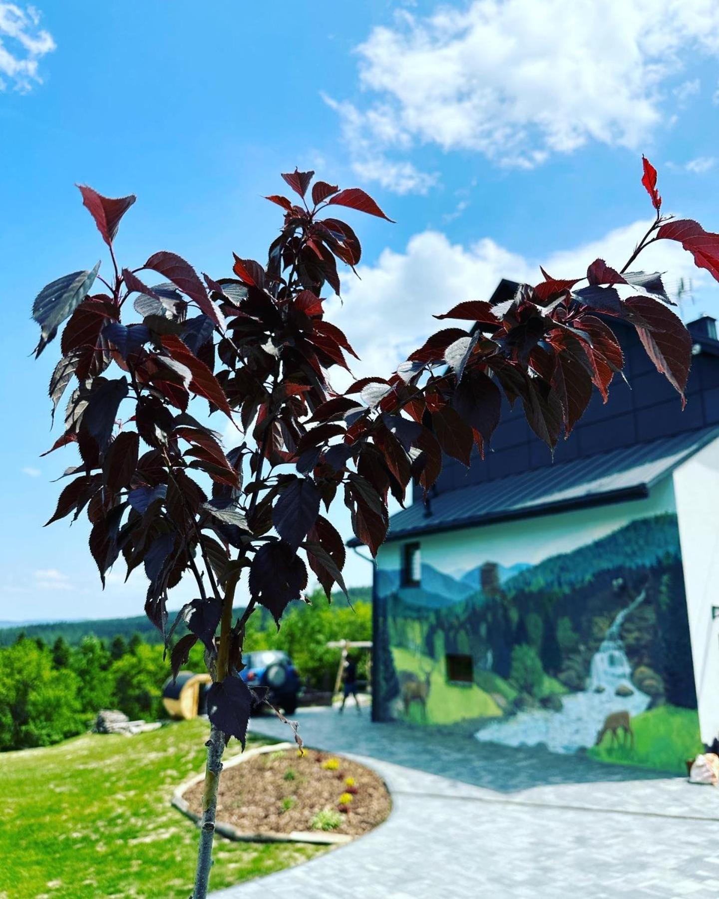 Beskidzki Zakatek Krynica-zdroj *